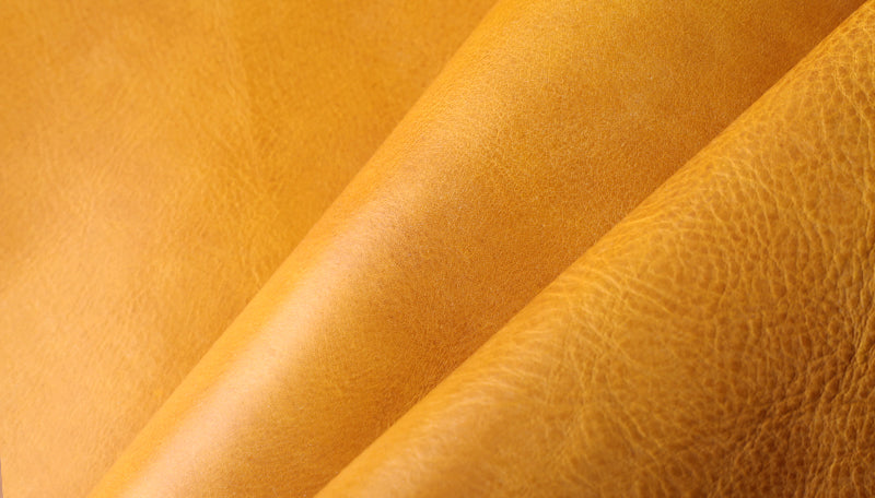【オプション】お札隠し ミッスーリVer