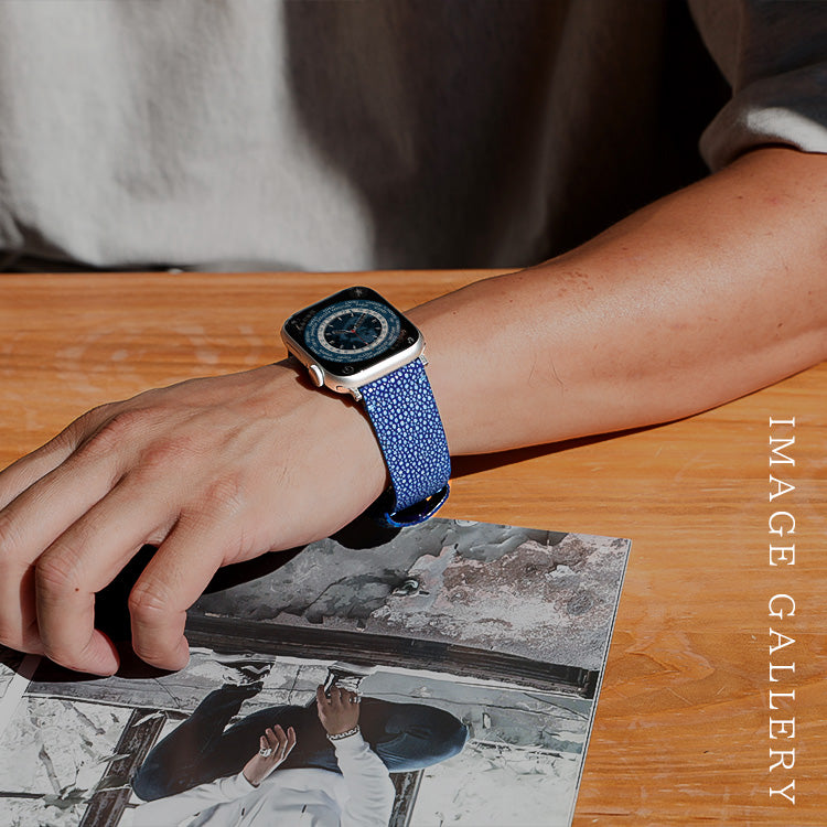 DAYSART スティングレイ Apple Watchバンド wc033
