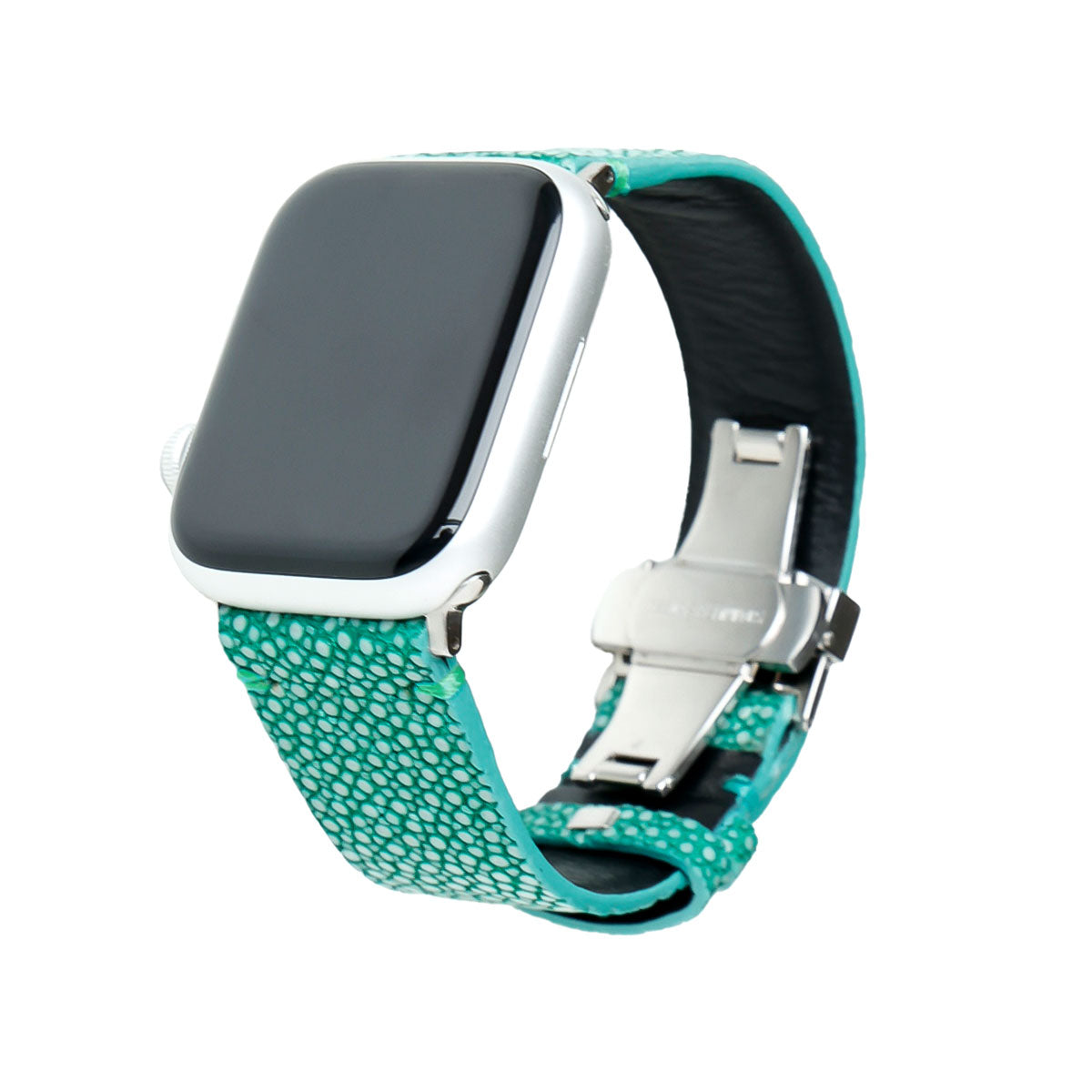 DAYSART スティングレイ Apple Watchバンド wc033